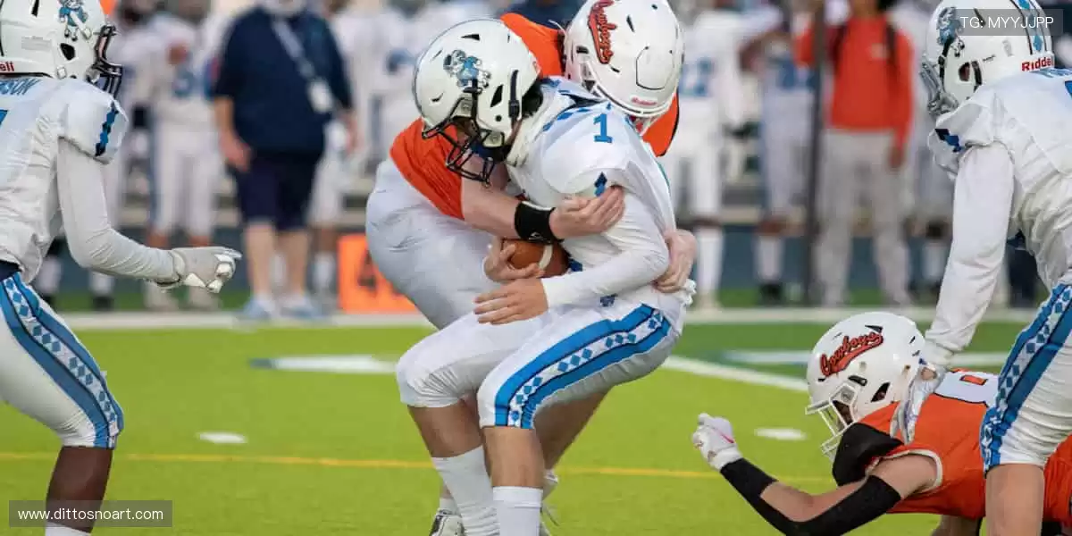 📺 高清直播,实时互动!不错过每一个心跳瞬间!